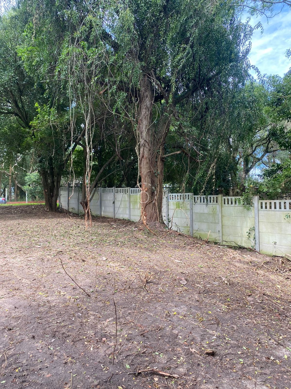 Terreno à venda com 2.490m² no bairro Espirito Santo em Porto Alegre - Foto 4