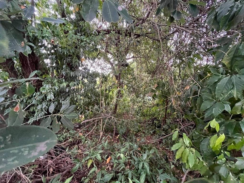 Terreno à venda com 533m² no bairro Espirito Santo em Porto Alegre - Foto 2