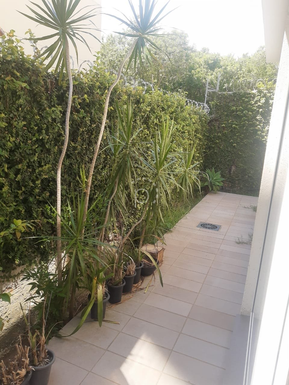 Casa à venda com 200m², 3 quartos, 2 vagas no bairro Tristeza em Porto Alegre - Foto 6