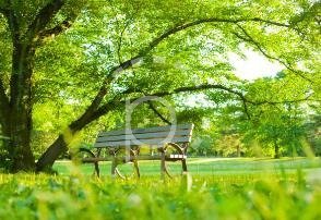 Casa à venda com 166m², 3 quartos, 1 suíte, 2 vagas no bairro Ipanema em Porto Alegre - Foto 21