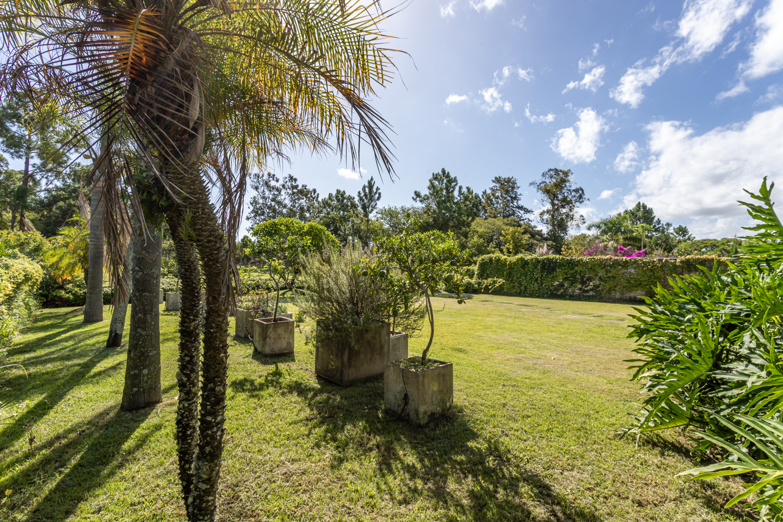 Casa em Condomínio à venda com 340m², 3 quartos, 3 vagas no bairro Terra Ville em Porto Alegre - Foto 40