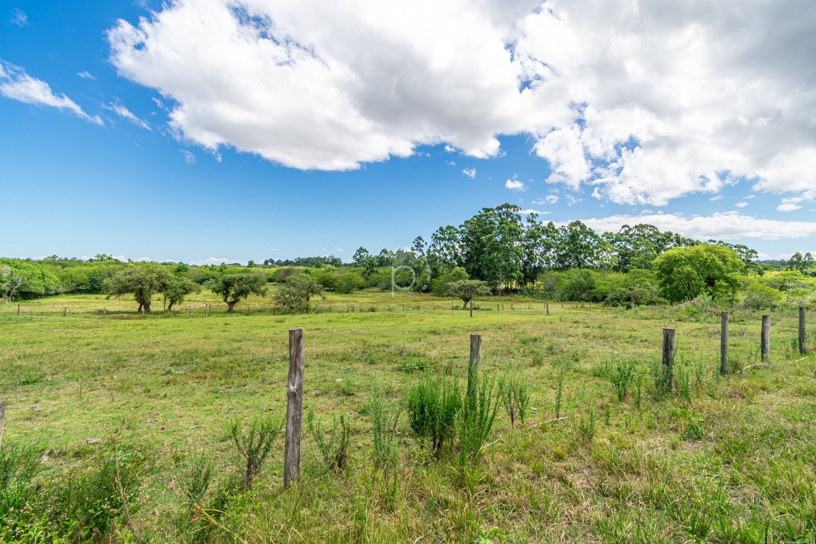 Terreno à venda com 90.000m² no bairro Hípica em Porto Alegre - Foto 33