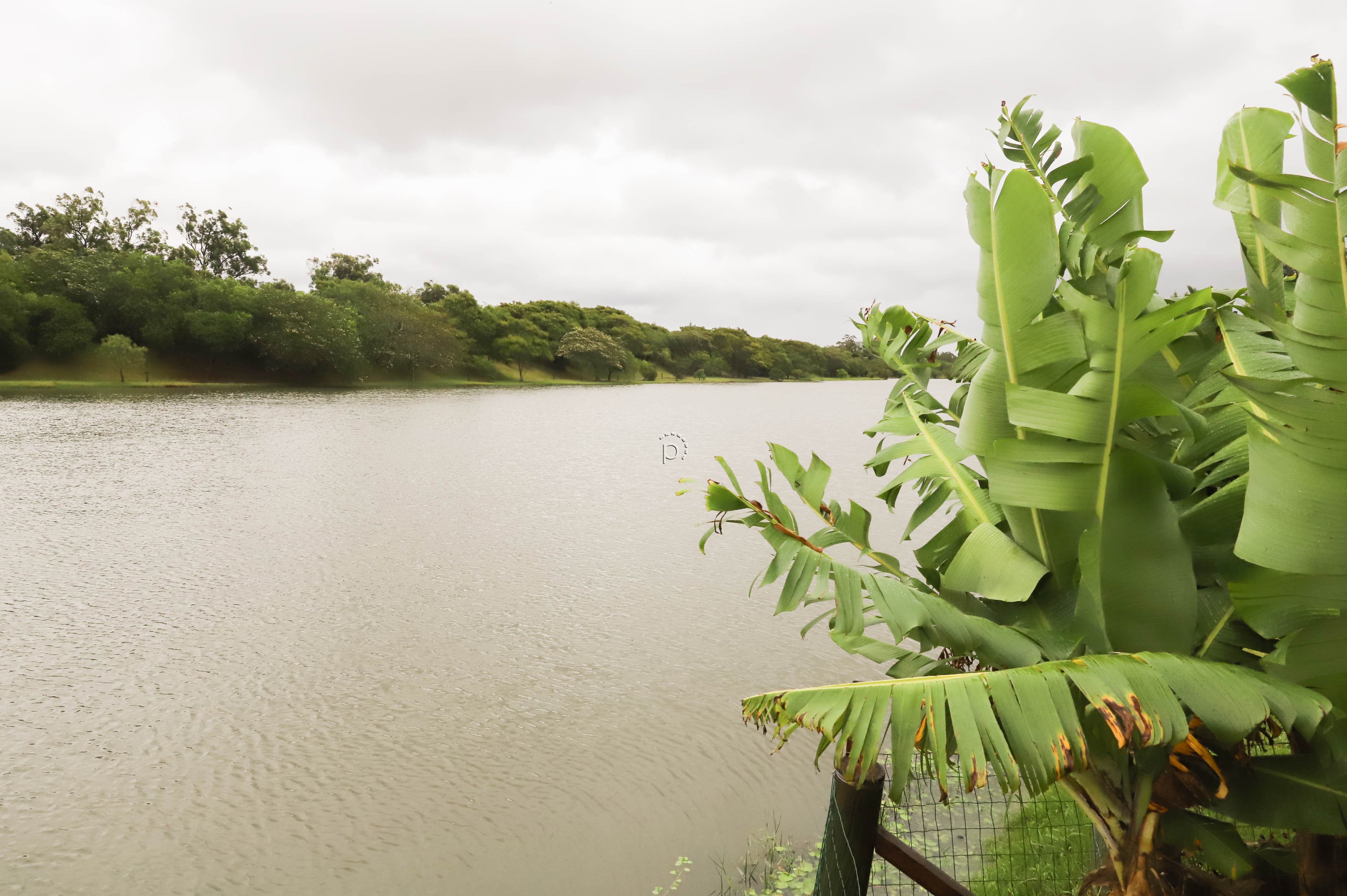 Casa em Condomínio à venda com 484m², 5 quartos, 5 suítes, 4 vagas no bairro Terra Ville em Porto Alegre - Foto 46