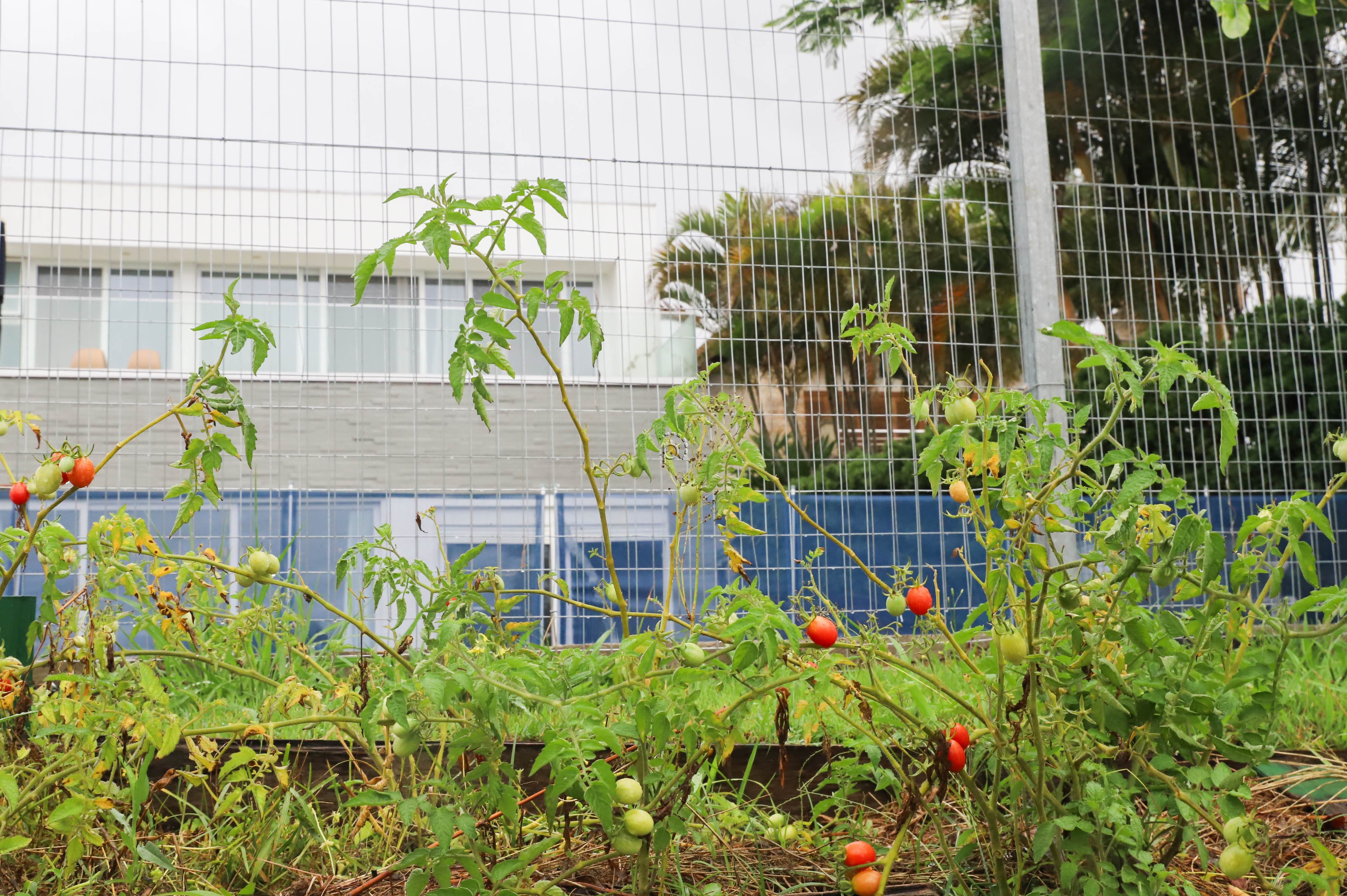 Casa em Condomínio à venda com 484m², 5 quartos, 5 suítes, 4 vagas no bairro Terra Ville em Porto Alegre - Foto 47