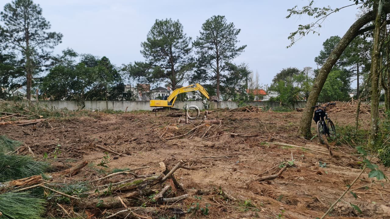 Terreno à venda com 6.000m² no bairro Belem Novo em Porto Alegre - Foto 2