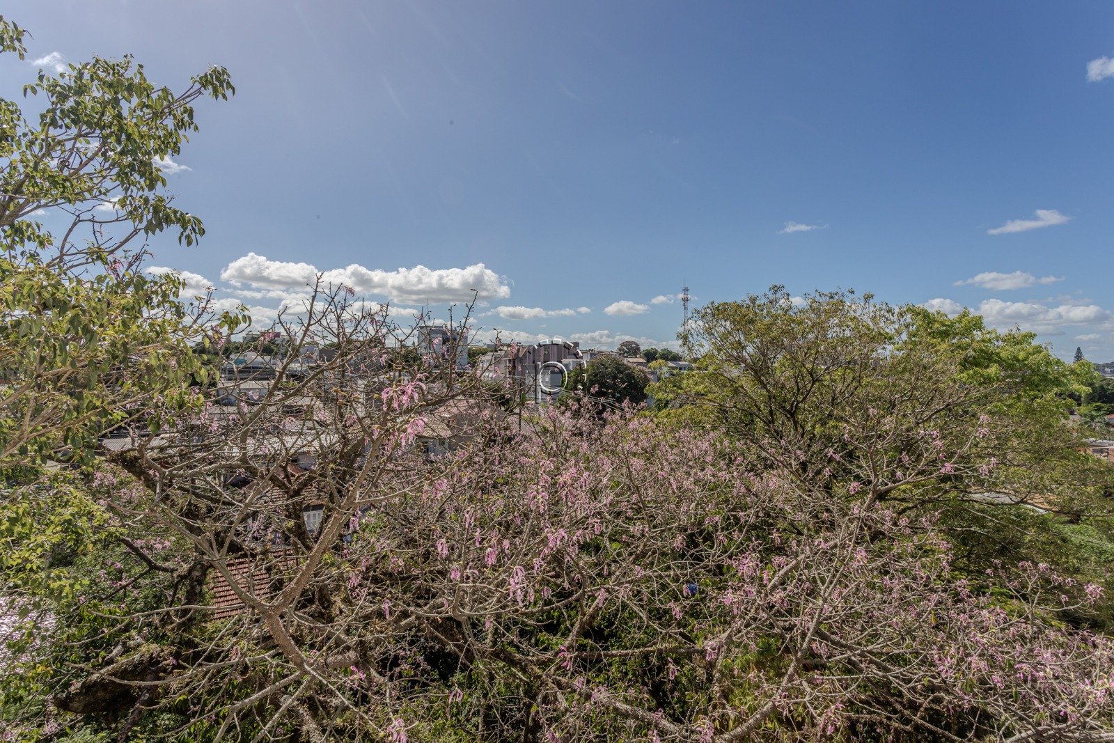 Apartamento à venda com 110m², 3 quartos, 2 vagas no bairro Camaquã em Porto Alegre - Foto 17
