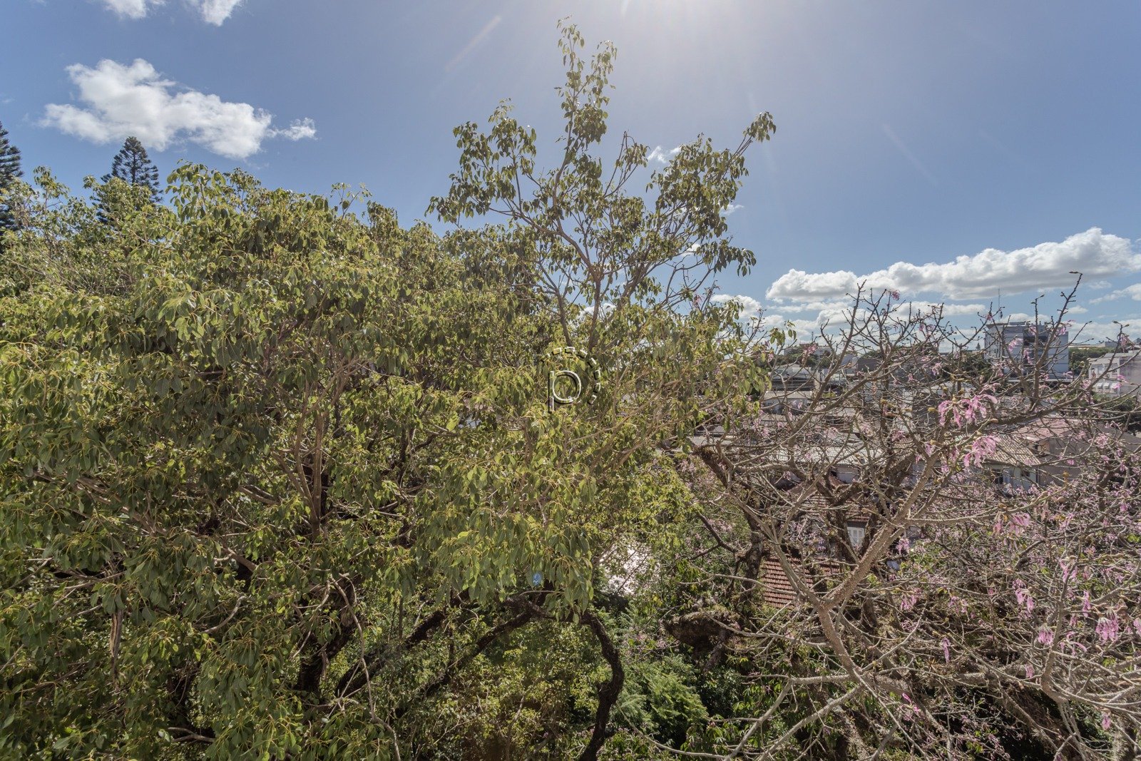 Apartamento à venda com 110m², 3 quartos, 2 vagas no bairro Camaquã em Porto Alegre - Foto 22