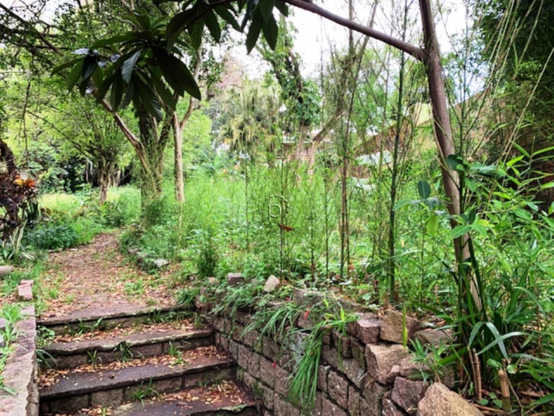 Terreno à venda com 2.377m² no bairro Tristeza em Porto Alegre - Foto 6
