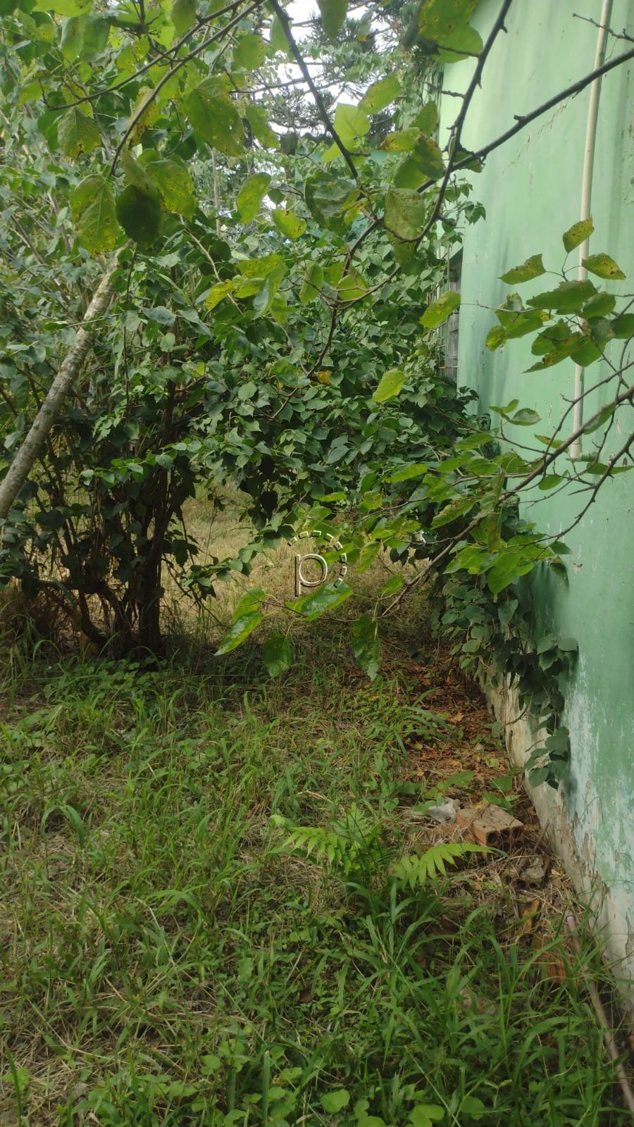 Terreno à venda com 3.000m² no bairro Hípica em Porto Alegre - Foto 9