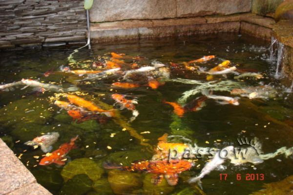 Casa à venda com 430m², 3 quartos, 2 suítes, 3 vagas no bairro Vila Assunção em Porto Alegre - Foto 25